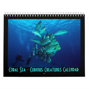 Calendrier Mural Mer de corail de la Grande barrière de corail de