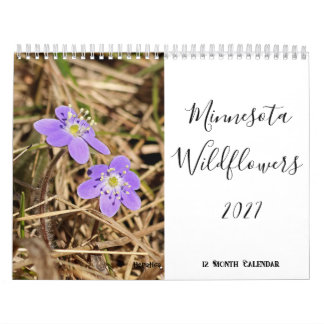 Calendrier mural Minnesota Wildflower 2027 12 mois