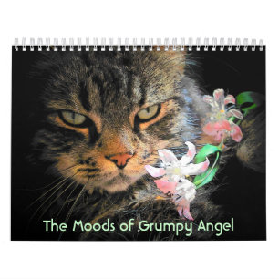 Calendrier Mural Modes d'un ange grincheux