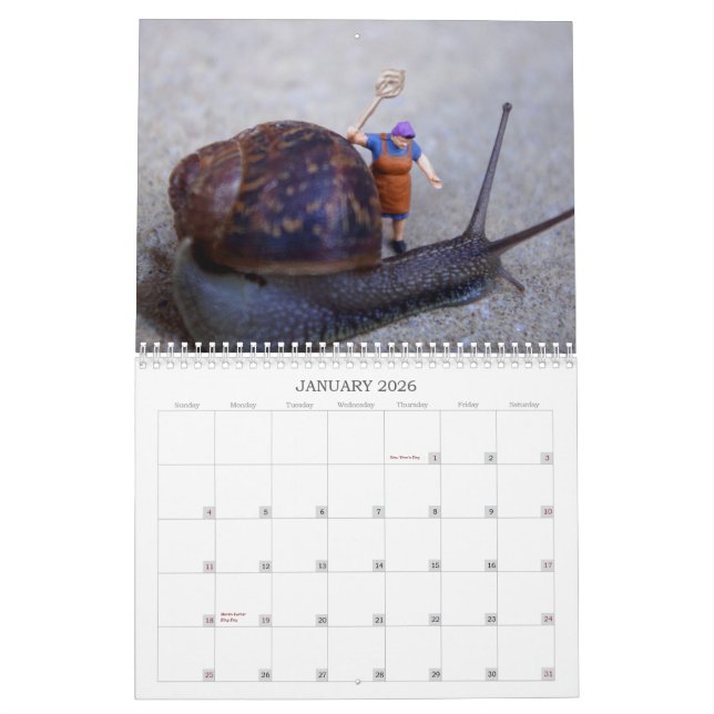 Calendrier Mural Monde minuscule (Jan 2026)