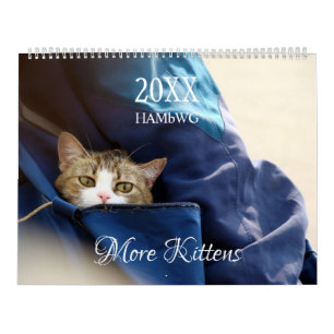 Calendrier mural More Kittens - HAMbyWG