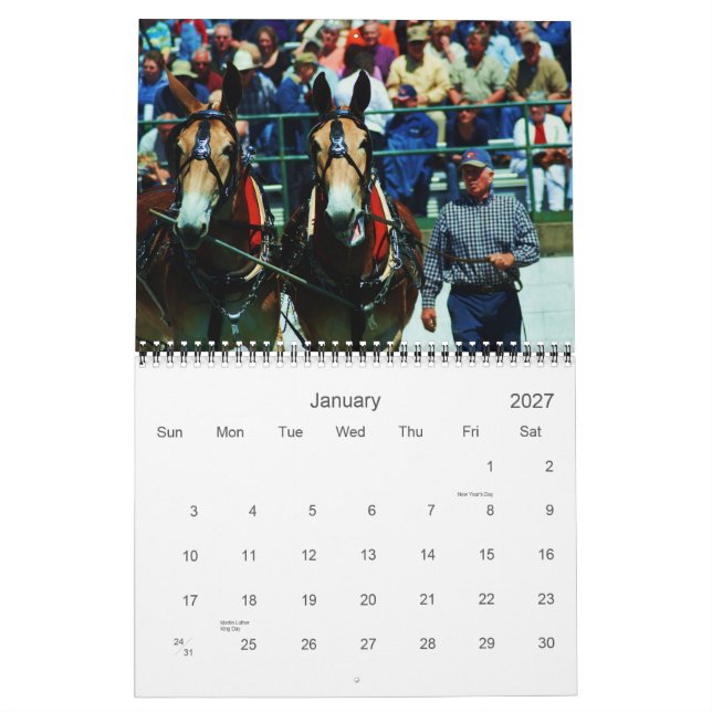 Calendrier Mural mules et ânes (Jan 2027)