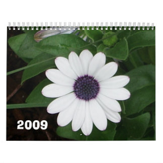 Calendrier Mural Nature 2009