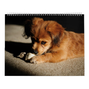 Calendrier Mural Nature et animaux