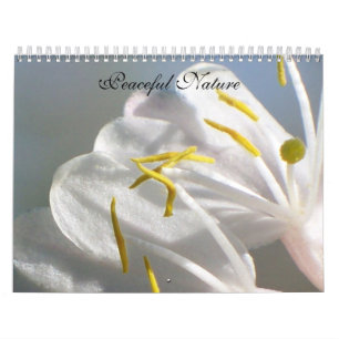 Calendrier Mural Nature paisible