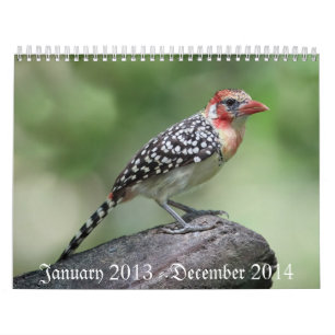 Calendrier Mural Oiseau Calaender 2013-2014