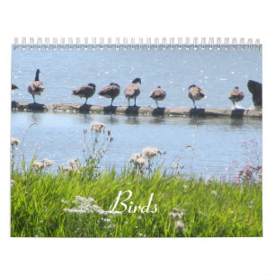 Calendrier Mural Oiseaux