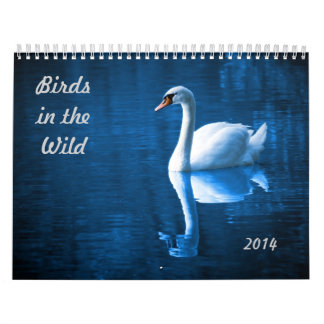 Calendrier Mural Oiseaux dans le sauvage