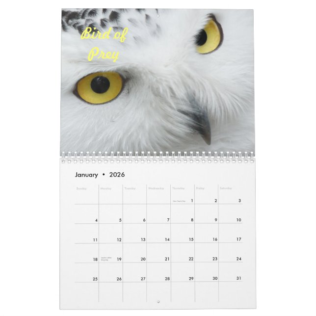 Calendrier Mural Oiseaux dans le sauvage (Jan 2026)