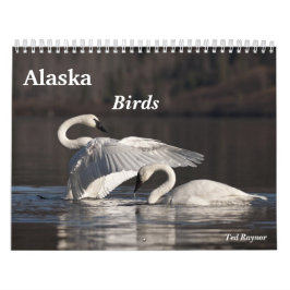 Calendrier Mural Oiseaux de l'Alaska