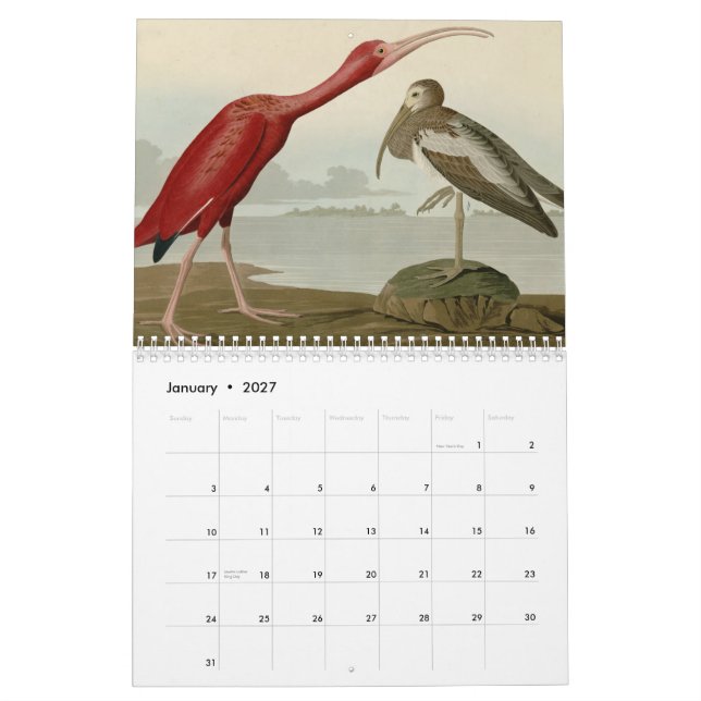 Calendrier Mural Oiseaux de l'Amérique (Jan 2027)