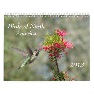 Calendrier Mural Oiseaux de l'Amérique du Nord