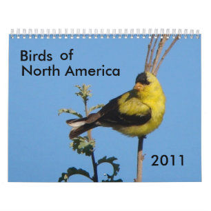 Calendrier Mural Oiseaux de l'Amérique du Nord 2011