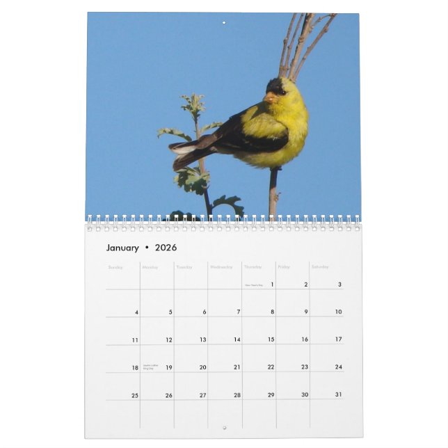 Calendrier Mural Oiseaux de l'Amérique du Nord 2011 (Jan 2026)