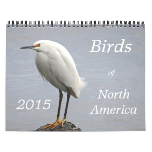 Calendrier Mural Oiseaux de l'Amérique du Nord - 2015
