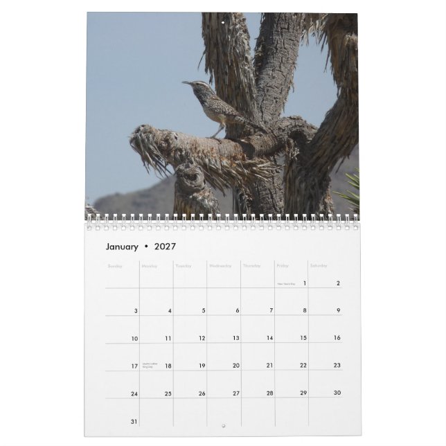 Calendrier Mural Oiseaux en Arizona (Jan 2027)