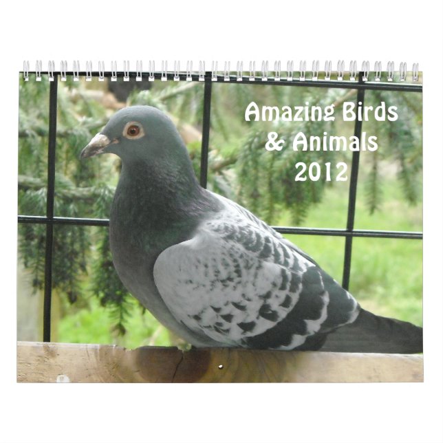 Calendrier Mural Oiseaux et animaux Extraordinaires 2012 (Protection)