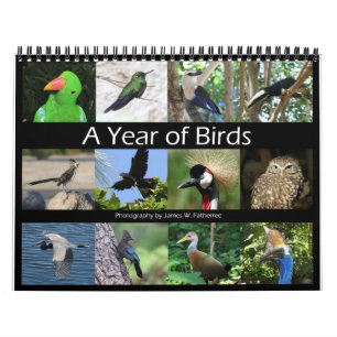 Calendrier mural Oiseaux variés par J.W. Fatherree