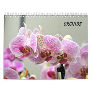 Calendrier Mural Orchidées