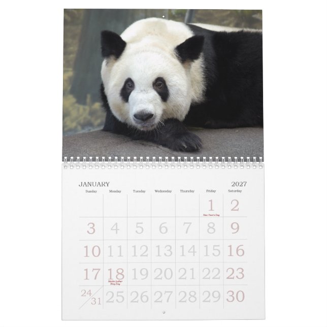 Calendrier Mural panda117, ours panda géants (Jan 2027)