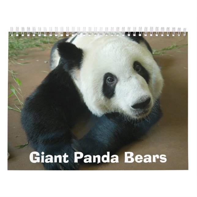 Calendrier Mural panda118, ours panda géants (Protection)