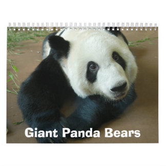 Calendrier Mural panda118, ours panda géants