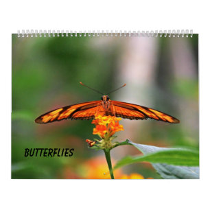Calendrier Mural Papillons
