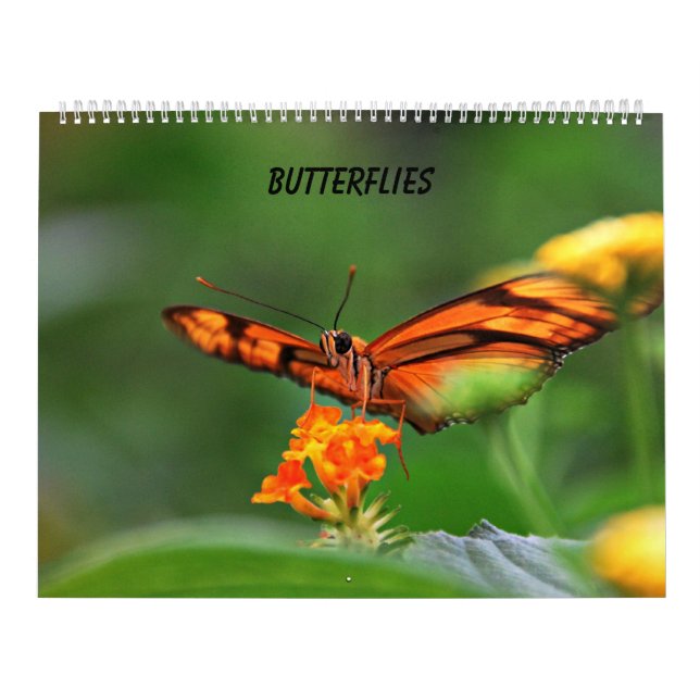 Calendrier Mural Papillons (Protection)