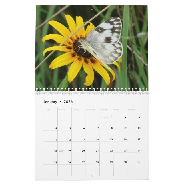 Calendrier Mural Papillons du Tennessee (Jan 2026)
