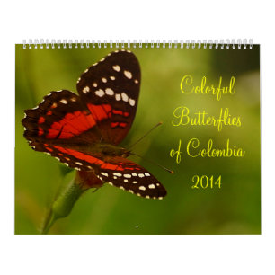Calendrier Mural Papillons tropicaux de Colombie