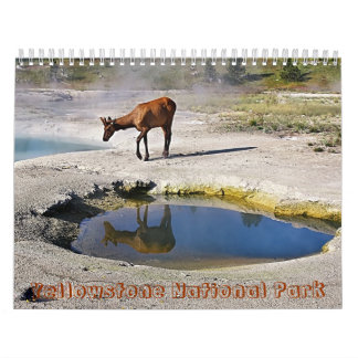 Calendrier Mural Parc national de Yellowstone