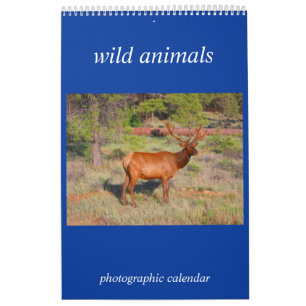 Calendrier Mural photo d'animal sauvage