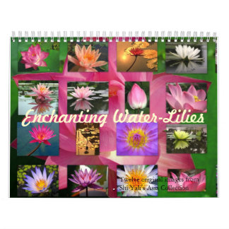 Calendrier Mural Photographie 2013 enchanteresse de beaux-arts de