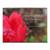Photographie minuscule de macro de créatures de