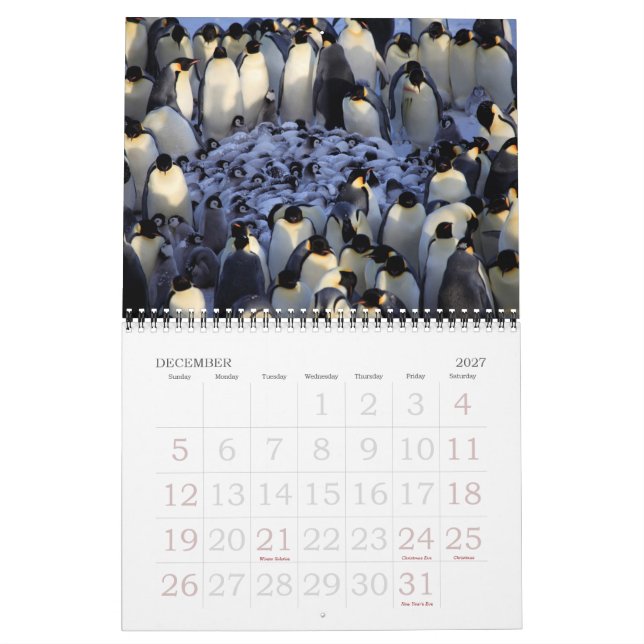 Calendrier Mural Pingouins (Dec 2027)
