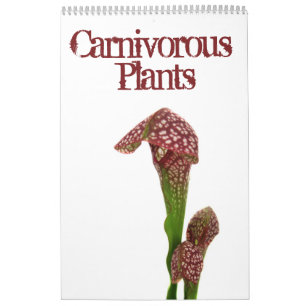 Calendrier Mural Plantes carnivores