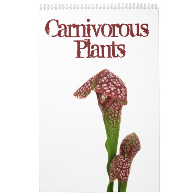 Calendrier Mural Plantes carnivores (Protection)