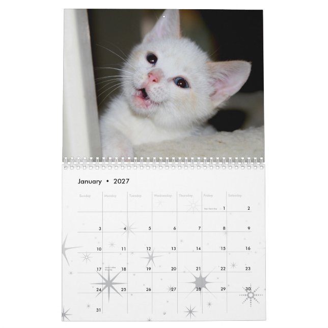 Calendrier Mural Plus de chatons ! (Jan 2027)