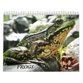 Calendrier Mural Plus de GRENOUILLES !