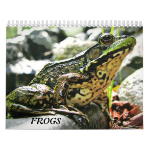 Calendrier Mural Plus de GRENOUILLES !