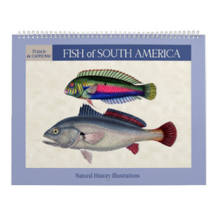 Calendrier Mural Poisson d'Amérique du Sud 2026