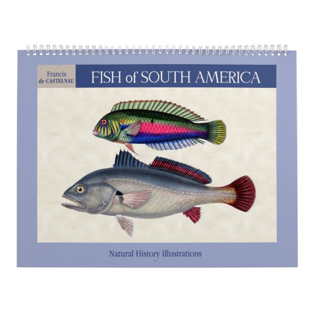 Calendrier Mural Poisson d'Amérique du Sud 2026 (Protection)