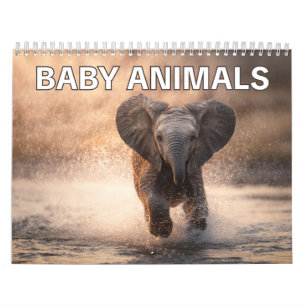 Calendrier mural pour les amoureux des animaux   B