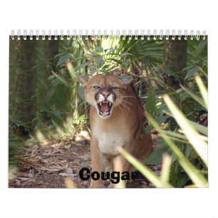 Calendrier Mural Puma 001, puma