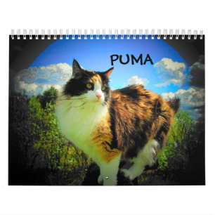 Calendrier Mural Puma, mon calicot de mannequin vedette