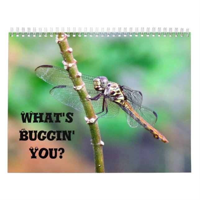 Calendrier Mural Qu'est-ce que vous buggin' You - Insect Calendar E (Protection)