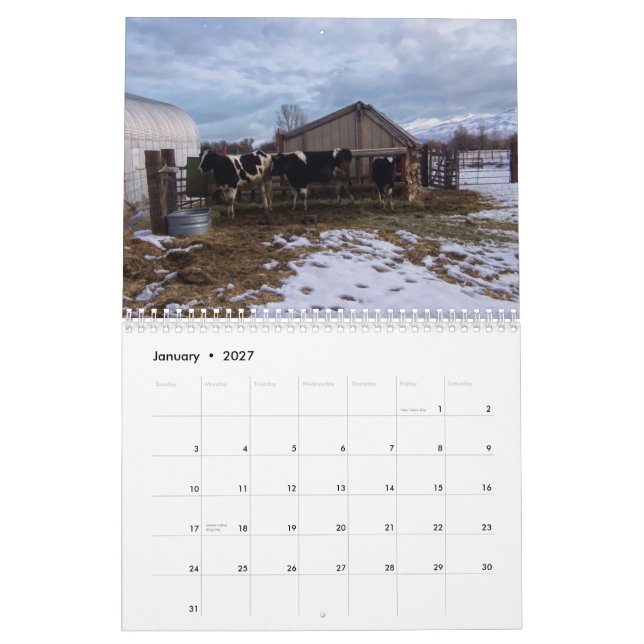 Calendrier Mural Ranch Life - Bétail (Jan 2027)