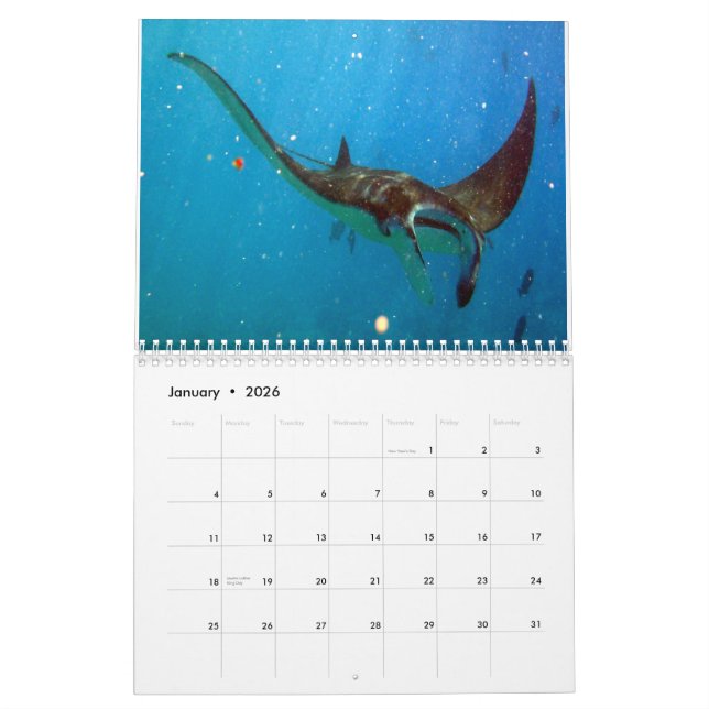 Calendrier Mural Rayons de Manta d'Hawaï, anguilles et poulpe (Jan 2026)
