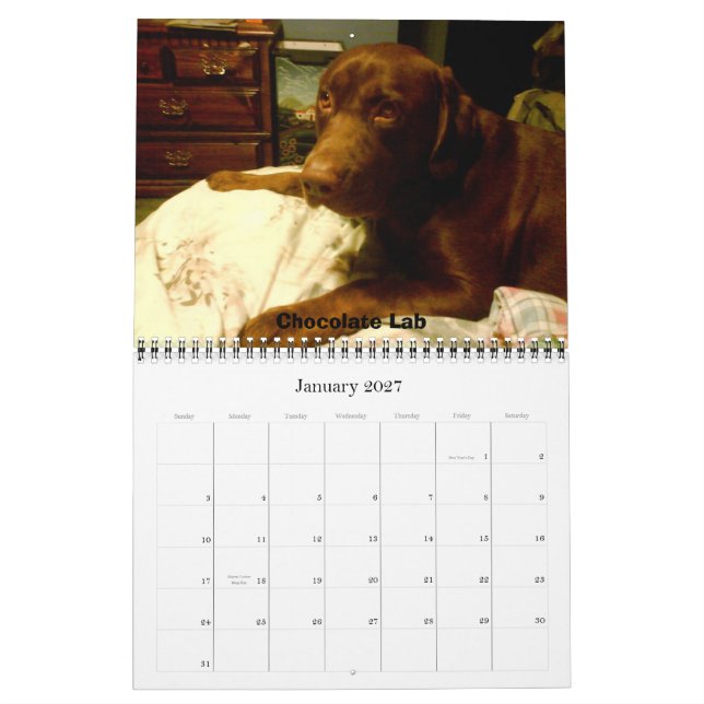 Calendrier Mural Récupérateurs Labrador (Jan 2027)