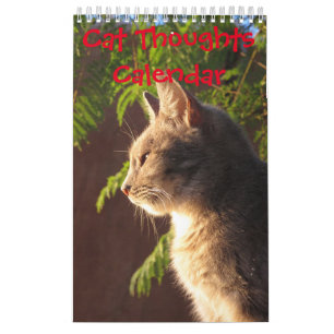 Calendrier Mural Réflexions sur les chats